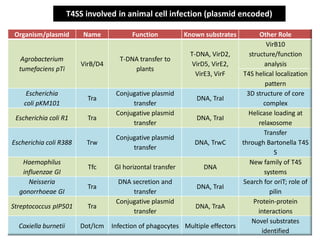 Secretion Systems of Bacteria | PDF