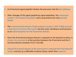 Secretion Systems of Bacteria | PDF