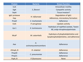 Secretion Systems of Bacteria | PDF