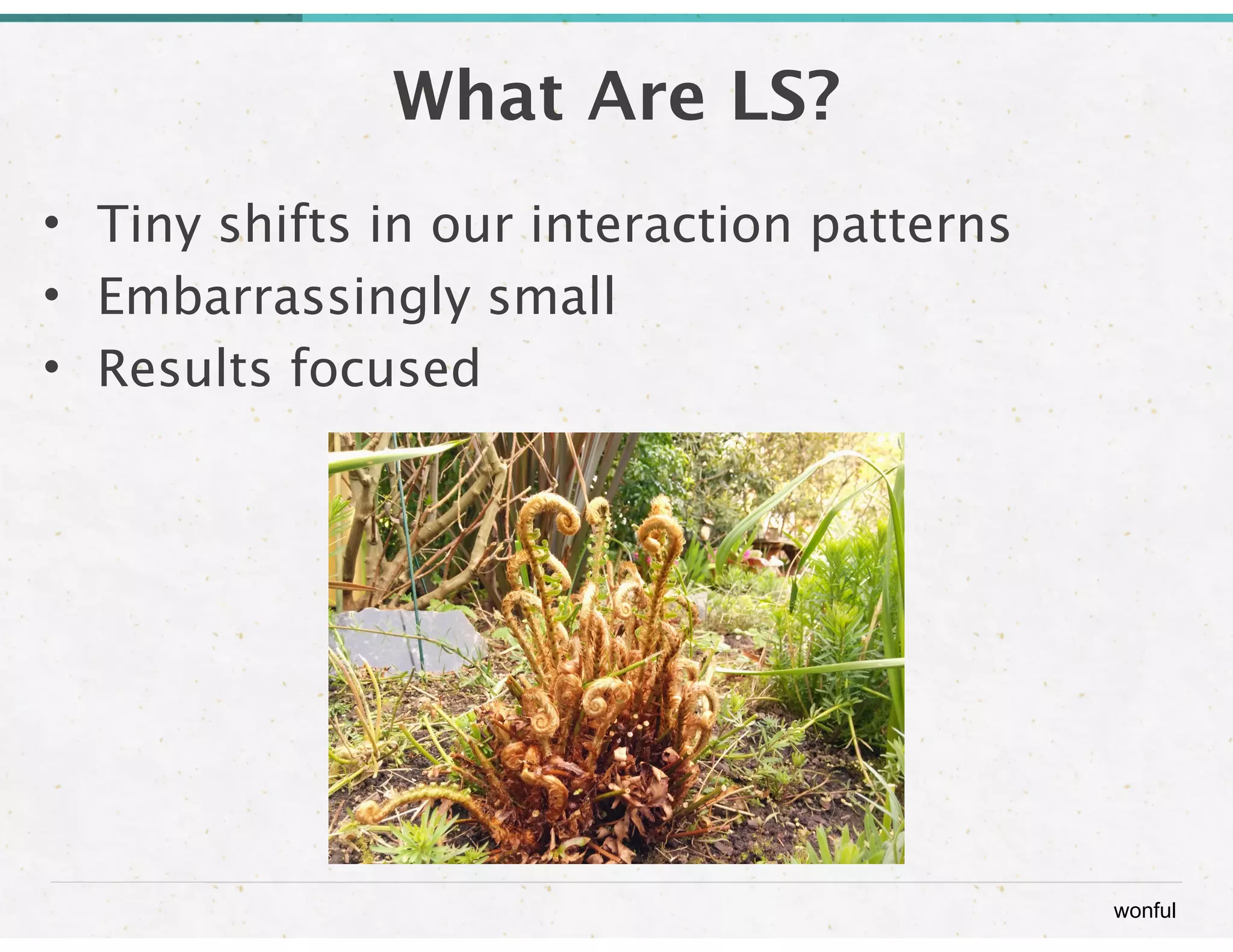 wonful 
What Are LS? 
• Tiny shifts in our interaction patterns 
• Embarrassingly small 
• Results focused 
 