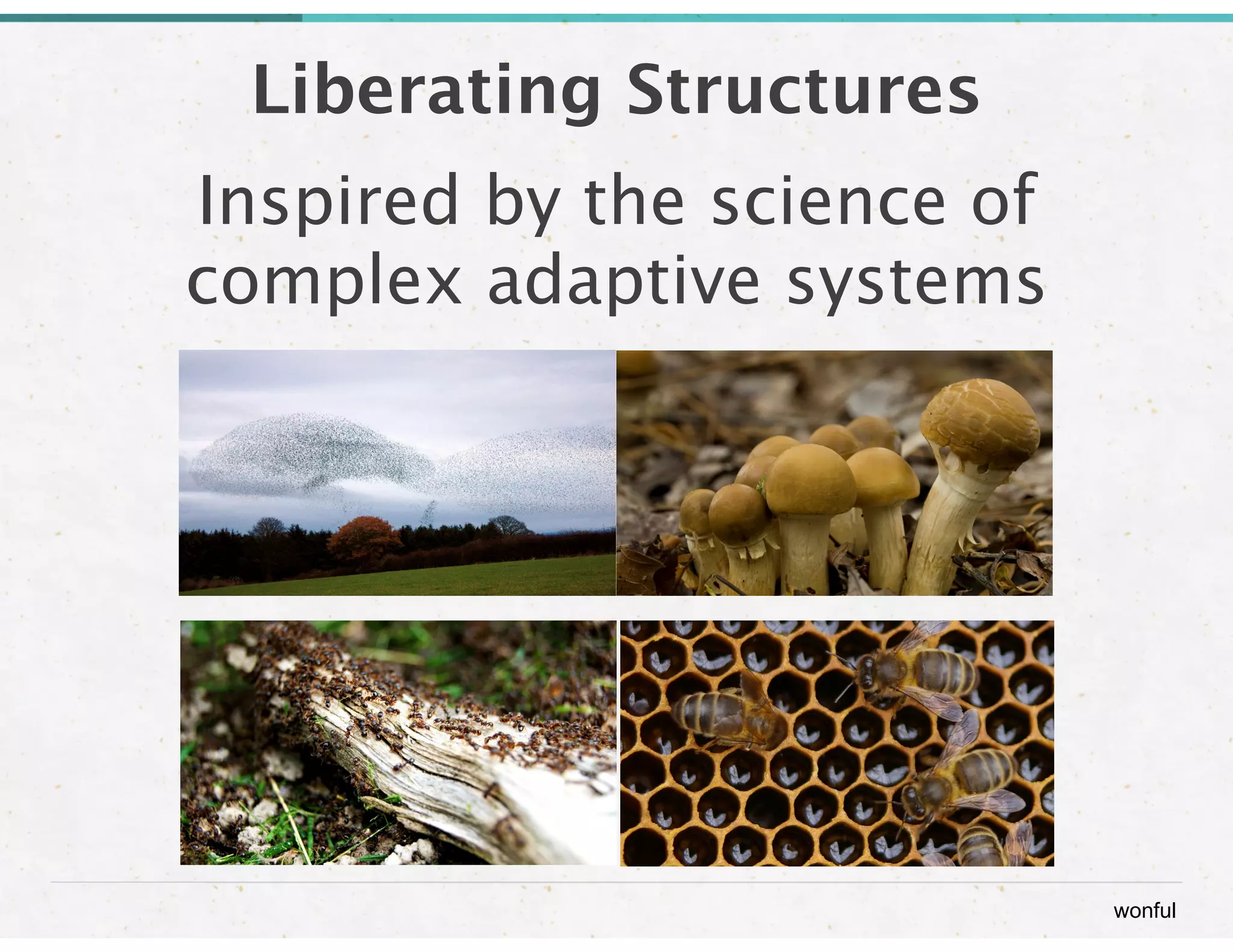 wonful 
Liberating Structures 
Inspired by the science of 
complex adaptive systems 
 