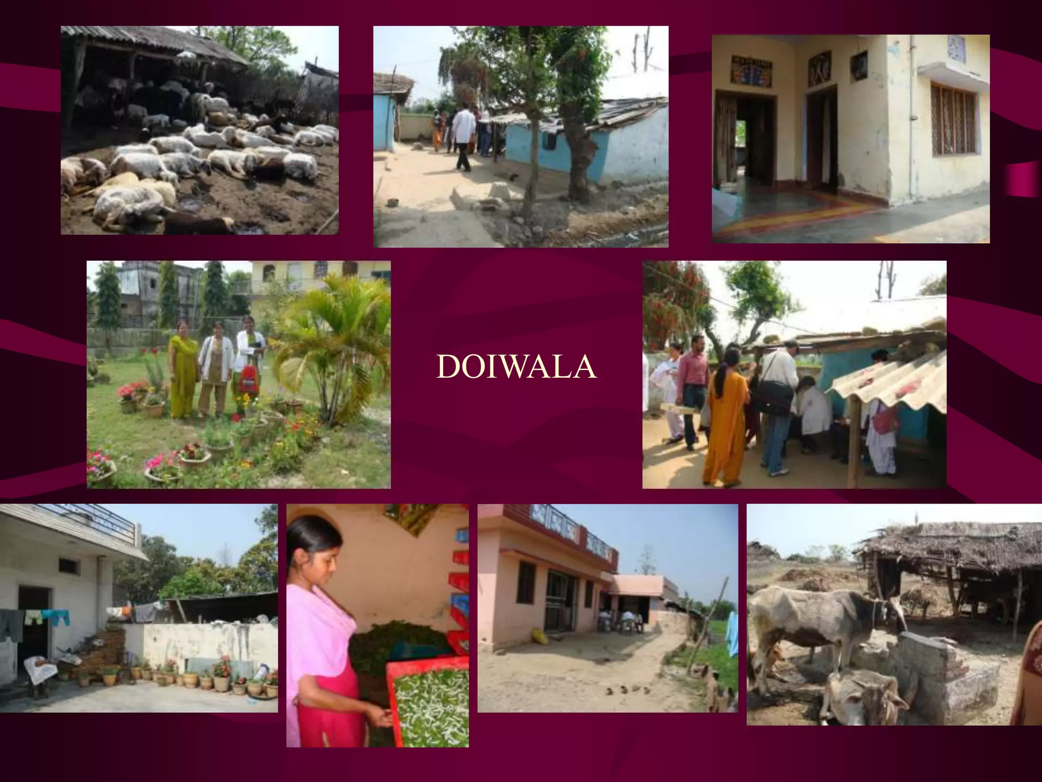DOIWALA