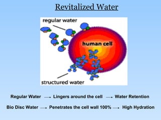 Revitalized Water   Regular Water  Lingers around the cell  Water Retention  Bio Disc Water  Penetrates the cell wall 100%  High Hydration 