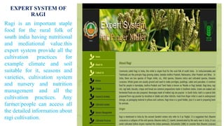 EXPERT SYSTEM FOR SHEEP
AND GOAT
This expert system is also
running by TNAU in which it
provide the information
related to...