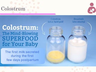 Colostrum
The first milk secreted
during the first
few days postpartum
 