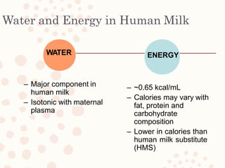 Water and Energy in Human Milk
WATER
– Major component in
human milk
– Isotonic with maternal
plasma
ENERGY
– ~0.65 kcal/mL
– Calories may vary with
fat, protein and
carbohydrate
composition
– Lower in calories than
human milk substitute
(HMS)
 