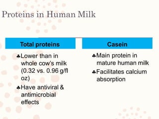 Proteins in Human Milk
Total proteins
Lower than in
whole cow’s milk
(0.32 vs. 0.96 g/fl
oz)
Have antiviral &
antimicrobial
effects
Casein
Main protein in
mature human milk
Facilitates calcium
absorption
 