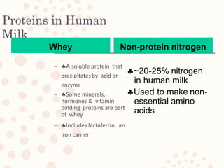 Proteins in Human
Milk
– A soluble protein that
precipitates by acid or
enzyme
– Some minerals,
hormones & vitamin
binding proteins are part
of whey
– Includes lactoferrin, an
iron carrier
Whey Non-protein nitrogen
~20-25% nitrogen
in human milk
Used to make non-
essential amino
acids
 