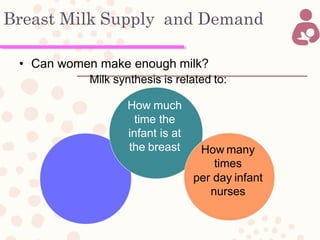 Breast Milk Supply and Demand
• Can women make enough milk?
Milk synthesis is related to:
How
vigorously
an infant
nurses
How much
time the
infant is at
the breast How many
times
per day infant
nurses
 