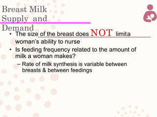 Breast Milk
Supply and
Demand
• The size of the breast does NOT limita
woman’s ability to nurse
• Is feeding frequency related to the amount of
milk a woman makes?
– Rate of milk synthesis is variable between
breasts & between feedings
 