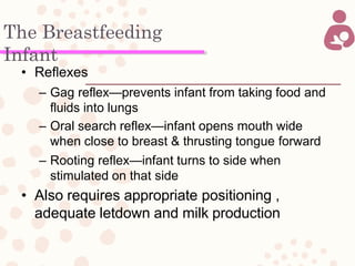 The Breastfeeding
Infant
• Reflexes
– Gag reflex—prevents infant from taking food and
fluids into lungs
– Oral search reflex—infant opens mouth wide
when close to breast & thrusting tongue forward
– Rooting reflex—infant turns to side when
stimulated on that side
• Also requires appropriate positioning ,
adequate letdown and milk production
 