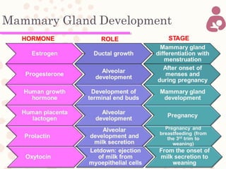 Mammary Gland Development
HORMONE ROLE STAGE
 