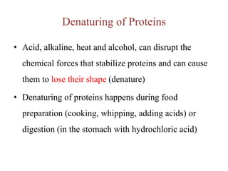 Denaturing of Proteins
• Acid, alkaline, heat and alcohol, can disrupt the
chemical forces that stabilize proteins and can cause
them to lose their shape (denature)
• Denaturing of proteins happens during food
preparation (cooking, whipping, adding acids) or
digestion (in the stomach with hydrochloric acid)
 