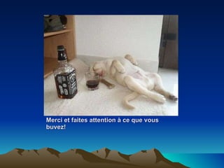 Merci et faites attention à ce que vous buvez! 