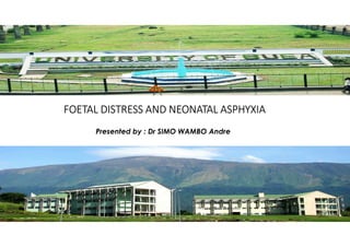 FOETAL DISTRESS AND NEONATAL ASPHYXIA
Presented by : Dr SIMO WAMBO Andre
Presented by : Dr SIMO WAMBO Andre
 