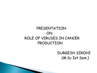 PRESENTATION 
ON 
ROLE OF VIRUSES IN CANCER 
PRODUCTION 
DURGESH SIROHI 
(M.Sc Ist Sem.) 
 