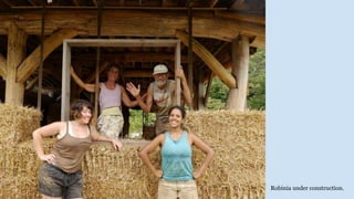 Robinia under construction.
 