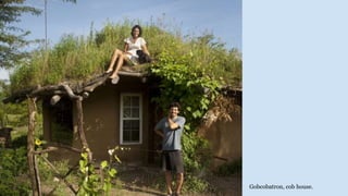 Gobcobatron, cob house.
 