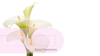 Brand Experience
 