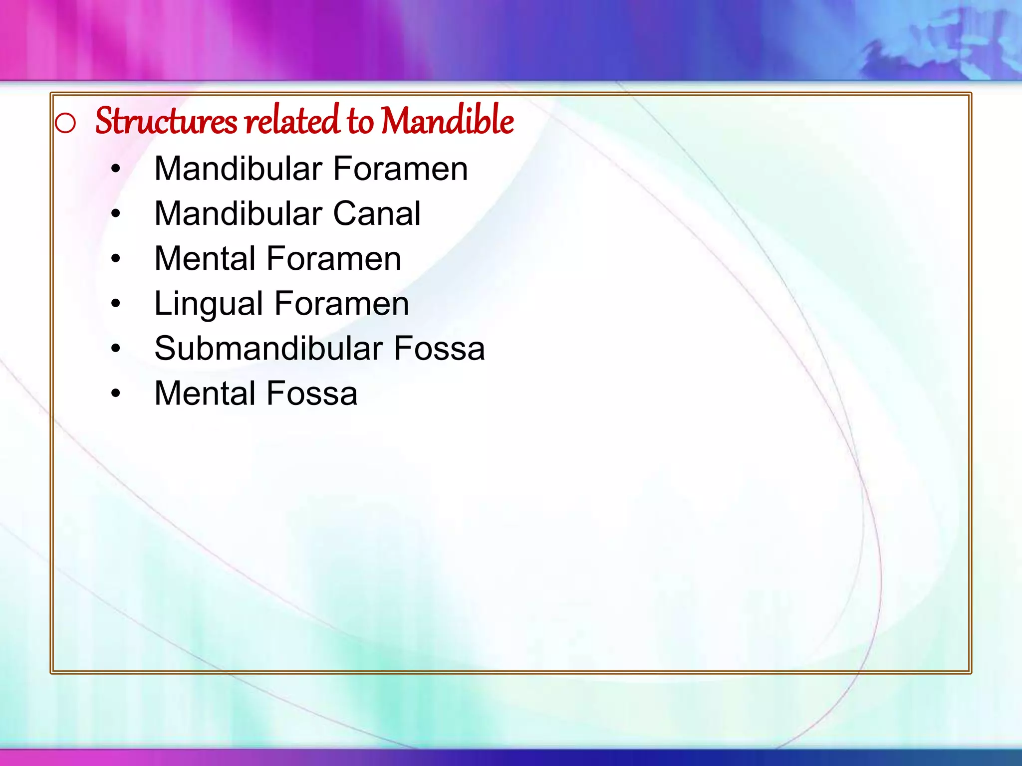 o Structures relatedto Mandible
• Mandibular Foramen
• Mandibular Canal
• Mental Foramen
• Lingual Foramen
• Submandibular Fossa
• Mental Fossa
 