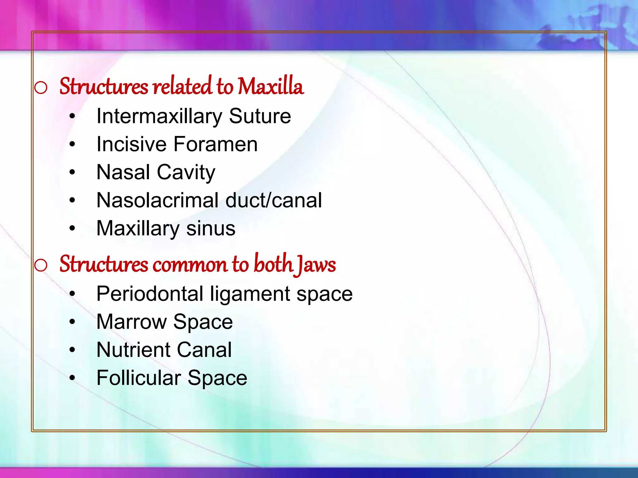 o Structures relatedto Maxilla
• Intermaxillary Suture
• Incisive Foramen
• Nasal Cavity
• Nasolacrimal duct/canal
• Maxillary sinus
o Structures common to bothJaws
• Periodontal ligament space
• Marrow Space
• Nutrient Canal
• Follicular Space
 
