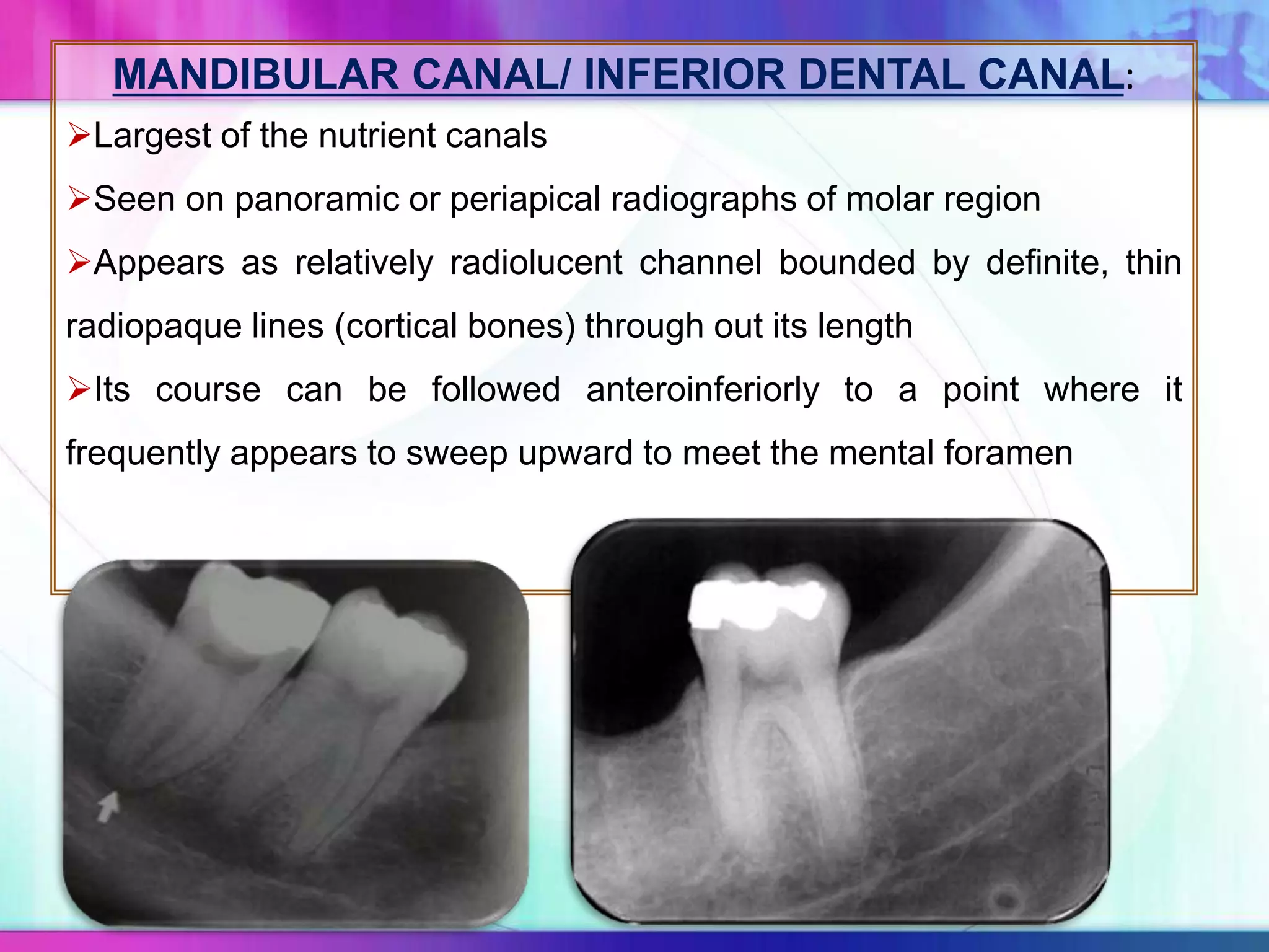 MANDIBULAR CANAL/ INFERIOR DENTAL CANAL:
Largest of the nutrient canals
Seen on panoramic or periapical radiographs of molar region
Appears as relatively radiolucent channel bounded by definite, thin
radiopaque lines (cortical bones) through out its length
Its course can be followed anteroinferiorly to a point where it
frequently appears to sweep upward to meet the mental foramen
 