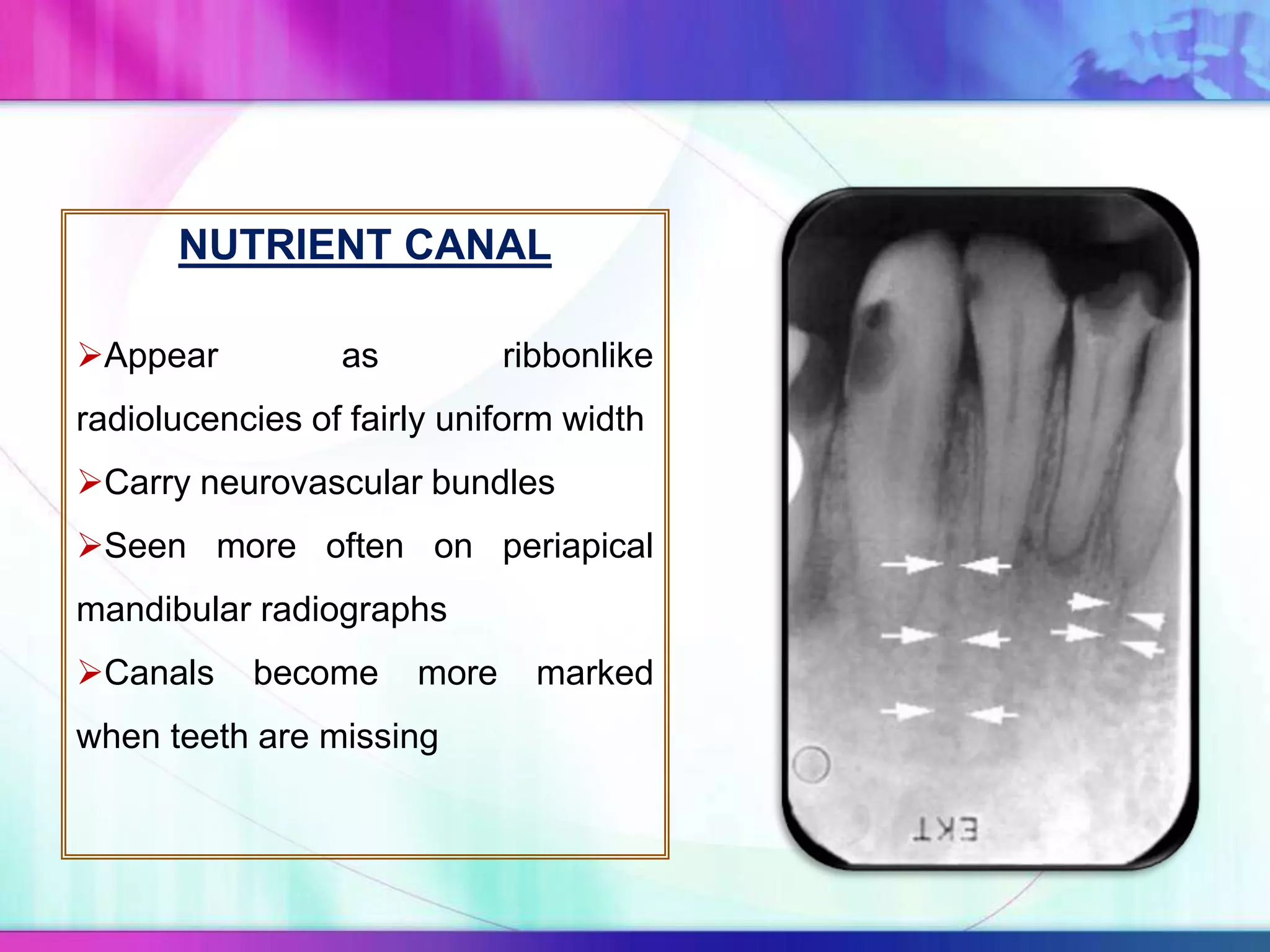 NUTRIENT CANAL
Appear as ribbonlike
radiolucencies of fairly uniform width
Carry neurovascular bundles
Seen more often on periapical
mandibular radiographs
Canals become more marked
when teeth are missing
 