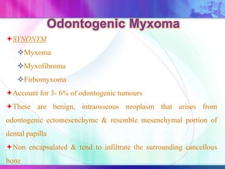 SYNONYM
Myxoma
Myxofibroma
Firbomyxoma
Account for 3- 6% of odontogenic tumours
These are benign, intraosseous neoplasm that arises from
odontogenic ectomesenchyme & resemble mesenchymal portion of
dental papilla
Non encapsulated & tend to infiltrate the surrounding cancellous
bone
 