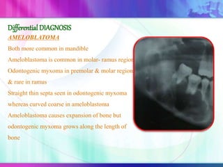 AMELOBLATOMA
Both more common in mandible
Ameloblastoma is common in molar- ramus region
Odontogenic myxoma in premolar & molar region
& rare in ramus
Straight thin septa seen in odontogenic myxoma
whereas curved coarse in ameloblastoma
Ameloblastoma causes expansion of bone but
odontogenic myxoma grows along the length of
bone
Differential DIAGNOSIS
 