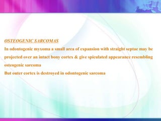 OSTEOGENIC SARCOMAS
In odontogenic myxoma a small area of expansion with straight septae may be
projected over an intact bony cortex & give spiculated appearance resembling
osteogenic sarcoma
But outer cortex is destroyed in odontogenic sarcoma
 
