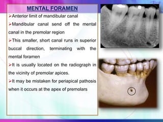 MENTAL FORAMEN
Anterior limit of mandibular canal
Mandibular canal send off the mental
canal in the premolar region
This smaller, short canal runs in superior
buccal direction, terminating with the
mental foramen
It is usually located on the radiograph in
the vicinity of premolar apices.
It may be mistaken for periapical pathosis
when it occurs at the apex of premolars
 