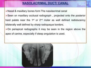 NASOLACRIMAL DUCT/ CANAL
Nasal & maxillary bones form The nasolacrimal canal
Seen on maxillary occlusal radiograph , projected onto the posterior
hard palate near the 1st or 2nd molar as well defined radiolucency
bilaterally well defined by sharp radiopaque borders.
On periapical radiographs it may be seen in the region above the
apex of canine, especially if steep angulation is used.
 
