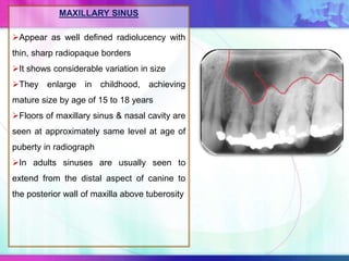 MAXILLARY SINUS
Appear as well defined radiolucency with
thin, sharp radiopaque borders
It shows considerable variation in size
They enlarge in childhood, achieving
mature size by age of 15 to 18 years
Floors of maxillary sinus & nasal cavity are
seen at approximately same level at age of
puberty in radiograph
In adults sinuses are usually seen to
extend from the distal aspect of canine to
the posterior wall of maxilla above tuberosity
 