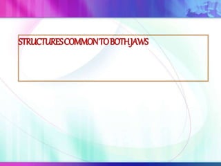 STRUCTURESCOMMONTOBOTHJAWS
 