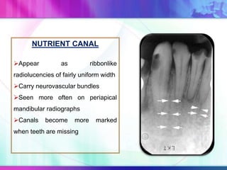NUTRIENT CANAL
Appear as ribbonlike
radiolucencies of fairly uniform width
Carry neurovascular bundles
Seen more often on periapical
mandibular radiographs
Canals become more marked
when teeth are missing
 