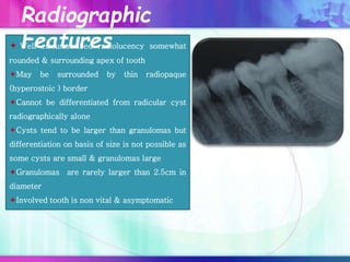  Well circumscribed radiolucency somewhat
rounded & surrounding apex of tooth
May be surrounded by thin radiopaque
(hyperostoic ) border
Cannot be differentiated from radicular cyst
radiographically alone
Cysts tend to be larger than granulomas but
differentiation on basis of size is not possible as
some cysts are small & granulomas large
Granulomas are rarely larger than 2.5cm in
diameter
Involved tooth is non vital & asymptomatic
Radiographic
Features
 