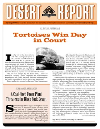 Spring 2005 News of the desert from the Sierra Club California/Nevada Desert Committee www.desertreport.org


                                                          B Y   D A N I E L   P A T  T  E  R  S  O  N




           Tortoises Win Day
                in Court


I
          n a big win for the desert tort o i s e                                                          (BLM) public lands in the Northern and
          and other endangered species in                                                                  Eastern Colorado Desert (NECO) planning
          the California Desert Conserv a t i o n                                                          area, deemed critical for tortoise survival
          Area (CDCA), in January the                                                                      and recovery, are now off-limits to off-road
federal court in San Francisco agreed with                                                                 vehicles until the U.S. Fish and Wildlife
conservationists and issued an injunction                                                                  Service (FWS) completes new “biological
ordering the Bush administration to stop                                                                   opinions” that protect critical habitat and
off-road vehicle damage on over half-a-                                                                    promote tortoise recovery. There are thou-
million acres of desert washes and critical                                                                sands of desert washes weaving across the
habitat in Riverside, Imperial and San Bernardino Counties.                          landscape in this part of the CDCA, and BLM’s previous ‘wash-
   The suit was brought by the Sierra Club, Center for                               es open’ policy allowed driving in all of them, creating off-road
Biological Diversity, Public Employees for Environmental                             sacrifice zones.
Responsibility and Desert Survivors. It features something new-                         Plaintiffs cited off-road vehicle damage to tortoises where
the explicit recognition of species recovery not just survival.                      desert tortoises and their burrows are crushed. Vehicles also spew
   Desert washes (dry streams) on Bureau of Land Management                          unhealthy pollution and dust, damage and kill desert vegetation
                                                                                     tortoises and other wildlife must eat to survive, reproduce, and
                                                                                     recover. Vehicle damage to desert habitat can take decades
                                                                                     to recover.
               B Y   S H A A R O N   N E T H E R T O  N                                 “The Court is most concerned with the ‘actual situation on
                                                                                     the ground,’... and finds that OHV use must be enjoined in the
                                                                                     NECO planning area...” wrote U.S. Judge Susan Illston.
    A Coal-Fired Power Plant                                                            Last August the court first struck down biological opinions
                                                                                     (permits) issued by FWS that authorized off-road vehicle use on

 Threatens the Black Rock Desert                                                     critical desert tortoise habitat. Despite this ruling, the Bush
                                                                                     administration refused to make any on-the-ground management
                                                                                     changes to protect the tortoise, forcing conservation groups to




S
                                                                                     return to court for relief. FWS had issued its faulty opinion in
            empra Energy of San Diego is pushing hard to force                       response to BLM management plans for the Congressionally-
            what could be the nation’s largest coal-fired power                      designated Conservation Area. The BLM plans have been high-
            plant into one of Nevada’s most pristine areas.                          ly controversial and have been sharply criticized by biologists
            Officials say the 1,450 megawatt plant would pro-                        over their failure to protect endangered species’ critical habitat
duce enough electricity for about 1.5 million homes. Sempra is                       and implement endangered species re c o v e ry plans already
proposing to construct the plant on private land in the Smoke                        approved by FWS.                              continued on page 15
Creek Desert located on the southwestern edge of Black Rock
Desert National Conservation Area. This region was protected
                                                                                     Top: Desert tortoise on the edge of extinction
                                            continued on page 11
 