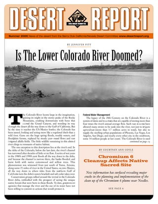 Summer 2005 News of the desert from the Sierra Club California/Nevada Desert Committee www.desertreport.org


                                                                 BY  JENNIF ER  PITT




       Is The Lower Colorado River Doomed?



T
                   he Colorado River looms large in the imagination,         Federal Water Management
                   gaining its might in the snowy peaks of the Rocky              The legacy of the 20th Century on the Colorado River is a
                   Mountains, crashing downstream with force that            system of dams and re s e rvoirs that are capable of storing more than
                   c a rved the Grand Canyon, and wending its way            four times the river’s annual average flow. Such vast re s e rves have
t h ro ugh the desert all the way down to the Gulf of California. But        allowed many straws to be sunk into the river, not just to irr i g a t e
by the time it reaches the US-Mexico bord e r, the Colorado has              a g r i c u l t u re (more than 3.7 million acres in total), but also to
been tamed, looking and acting more like a regulated ditch than a            supply the swelling urban populations of Phoenix, Las Vegas, Los
wild river. Gone are the huge spring floods, muddy waters, and               Angeles, San Diego, and nearly every other city in the southwest,
floodplain forests, replaced by steady year- round flows and vast            some 34 million people at last count. The Colorado River is used
i rrigated alfalfa fields. The little wildlife remaining in this altere d                                                        continued on page 15
river clings to remnants of native habitat.
     The one exception to this description lies at the river’s end. In
the delta of the Colorado, below the last dam, the river’s channel                            B Y   C O U R T N E Y   A N N   C O Y  L  E
has narrowed after decades of little or no flow. A series of wet years
in the 1980’s and 1990’s sent floods all the way down to the delta,
and because the channel is narrow there, the banks flooded, and
                                                                                   Chromium 6
burst forth with native cottonwood and willow trees. This                     Cleanup Affects Native
phenomenon was witnessed from just south of Yuma, Arizona,                          Sacred Site
along some 25 miles of river in the United States, on into Mexico,
all the way down to where tides from the nort h e rn Gulf of
C a l i f o rn turn the delta’s waters brackish and salt cedar takes over.
              ia                                                                New information has surfaced revealing major
     Conservation groups rallied around the revival in the Colorado           cracks in the planning and implementation of the
River delta, enthralled with the prospect of saving the unique                clean up of the Chromium 6 plume near Needles.
native forests that were born in those floods. To date, govern m e n t
agencies that manage the river and the use of its water have not
been willing to commit to actions that would protect it.                                                  S E E   PAG E   6
 