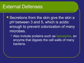 External Defenses
Secretions from the skin give the skin a
pH between 3 and 5, which is acidic
enough to prevent colonization of many
microbes.
Also include proteins such as lysozyme, an
enzyme that digests the cell walls of many
bacteria.
 