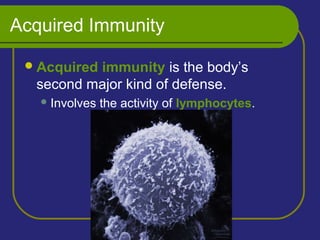 Acquired Immunity
Acquired immunity is the body’s
second major kind of defense.
Involves the activity of lymphocytes.
 
