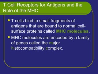 T Cell Receptors for Antigens and the
Role of the MHC
T cells bind to small fragments of
antigens that are bound to normal cell-
surface proteins called MHC molecules.
MHC molecules are encoded by a family
of genes called the major
histocompatibility complex.
 