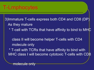 T-Lmphocytes
3)Immature T-cells express both CD4 and CD8 (DP)
As they mature
* T-cell with TCRs that have affinity to bind to MHC
class II will become helper T-cells with CD4
molecule only
* T-cell with TCRs that have affinity to bind with
MHC class I will become cytotoxic T-cells with CD8
molecule only
 