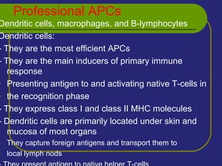 Professional APCs
Dendritic cells, macrophages, and B-lymphocytes
Dendritic cells:
- They are the most efficient APCs
- They are the main inducers of primary immune
response
- Presenting antigen to and activating native T-cells in
- the recognition phase
- They express class I and class II MHC molecules
- Dendritic cells are primarily located under skin and
mucosa of most organs
- They capture foreign antigens and transport them to
- local lymph nods
 