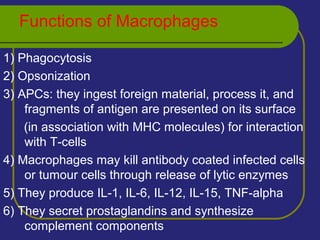 Functions of Macrophages
1) Phagocytosis
2) Opsonization
3) APCs: they ingest foreign material, process it, and
fragments of antigen are presented on its surface
(in association with MHC molecules) for interaction
with T-cells
4) Macrophages may kill antibody coated infected cells
or tumour cells through release of lytic enzymes
5) They produce IL-1, IL-6, IL-12, IL-15, TNF-alpha
6) They secret prostaglandins and synthesize
complement components
 