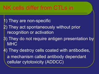 NK cells differ from CTLs in
1) They are non-specific
2) They act spontaneously without prior
recognition or activation
3) They do not require antigen presentation by
MHC
4) They destroy cells coated with antibodies,
a mechanism called antibody dependant
cellular cytotoxicity (ADDCC)
 