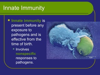 Innate Immunity
 Innate immunity is
present before any
exposure to
pathogens and is
effective from the
time of birth.
 Involves
nonspecific
responses to
pathogens.
 