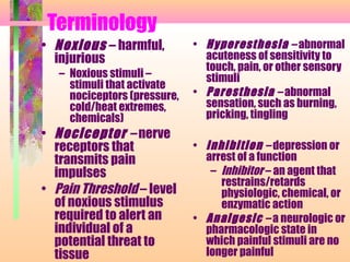 Terminology
• Noxious – harmful,
injurious
– Noxious stimuli –
stimuli that activate
nociceptors (pressure,
cold/heat extremes,
chemicals)
• Nociceptor – nerve
receptors that
transmits pain
impulses
• Pain Threshold – level
of noxious stimulus
required to alert an
individual of a
potential threat to
tissue
• Hyperesthesia – abnormal
acuteness of sensitivity to
touch, pain, or other sensory
stimuli
• Paresthesia – abnormal
sensation, such as burning,
pricking, tingling
• Inhibition – depression or
arrest of a function
– Inhibitor – an agent that
restrains/retards
physiologic, chemical, or
enzymatic action
• Analgesic – a neurologic or
pharmacologic state in
which painful stimuli are no
longer painful
 