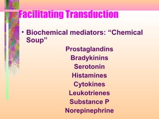 Facilitating Transduction
• Biochemical mediators: “Chemical
Soup”
Prostaglandins
Bradykinins
Serotonin
Histamines
Cytokines
Leukotrienes
Substance P
Norepinephrine
 