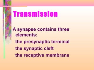 Transmission
A synapse contains three
elements:
the presynaptic terminal
the synaptic cleft
the receptive membrane
 