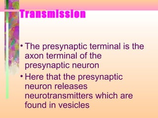 Transmission
• The presynaptic terminal is the
axon terminal of the
presynaptic neuron
• Here that the presynaptic
neuron releases
neurotransmitters which are
found in vesicles
 